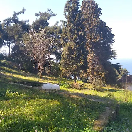 Naturel Hotel Adalar
